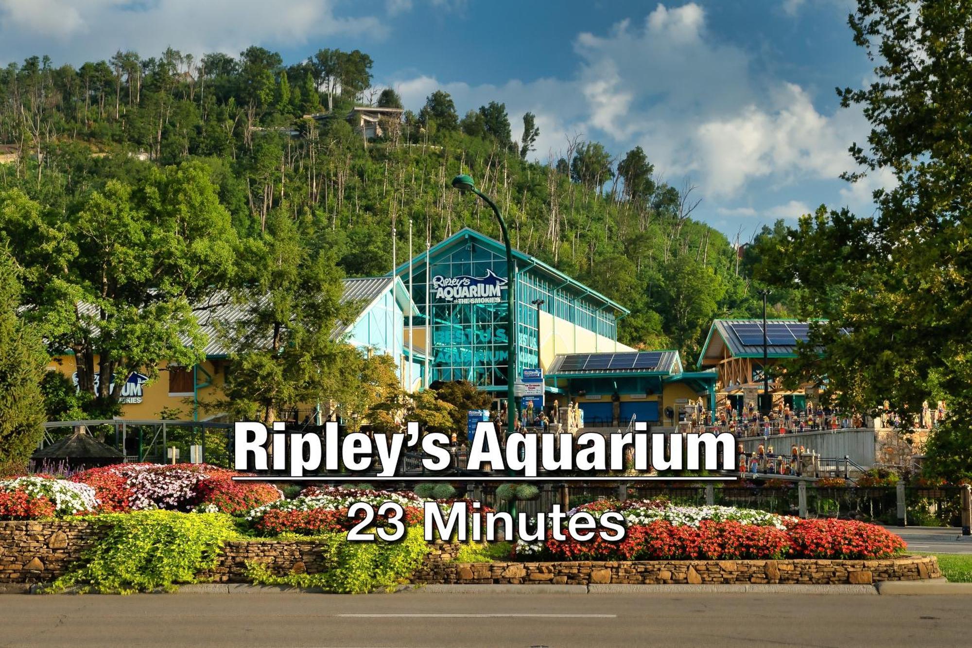 New Luxury Cabin With Stunning Mountainviews,Hottub, Firepit, Fireplace,2 Kingbeds, 2 Covereddecks,Bbqgrill, Shuffleboard And Pool Access Sevierville Exterior foto